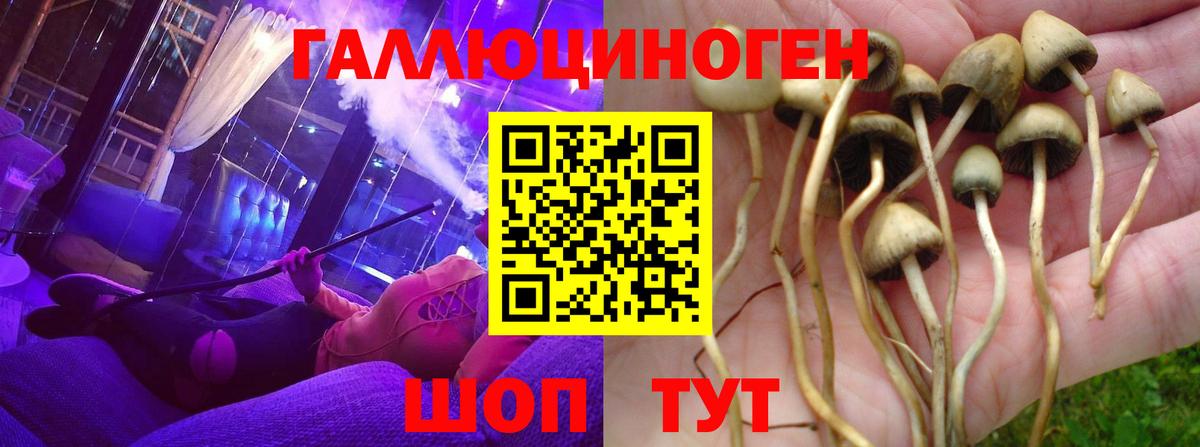 Псилоцибиновые грибы мухоморы Ивантеевка